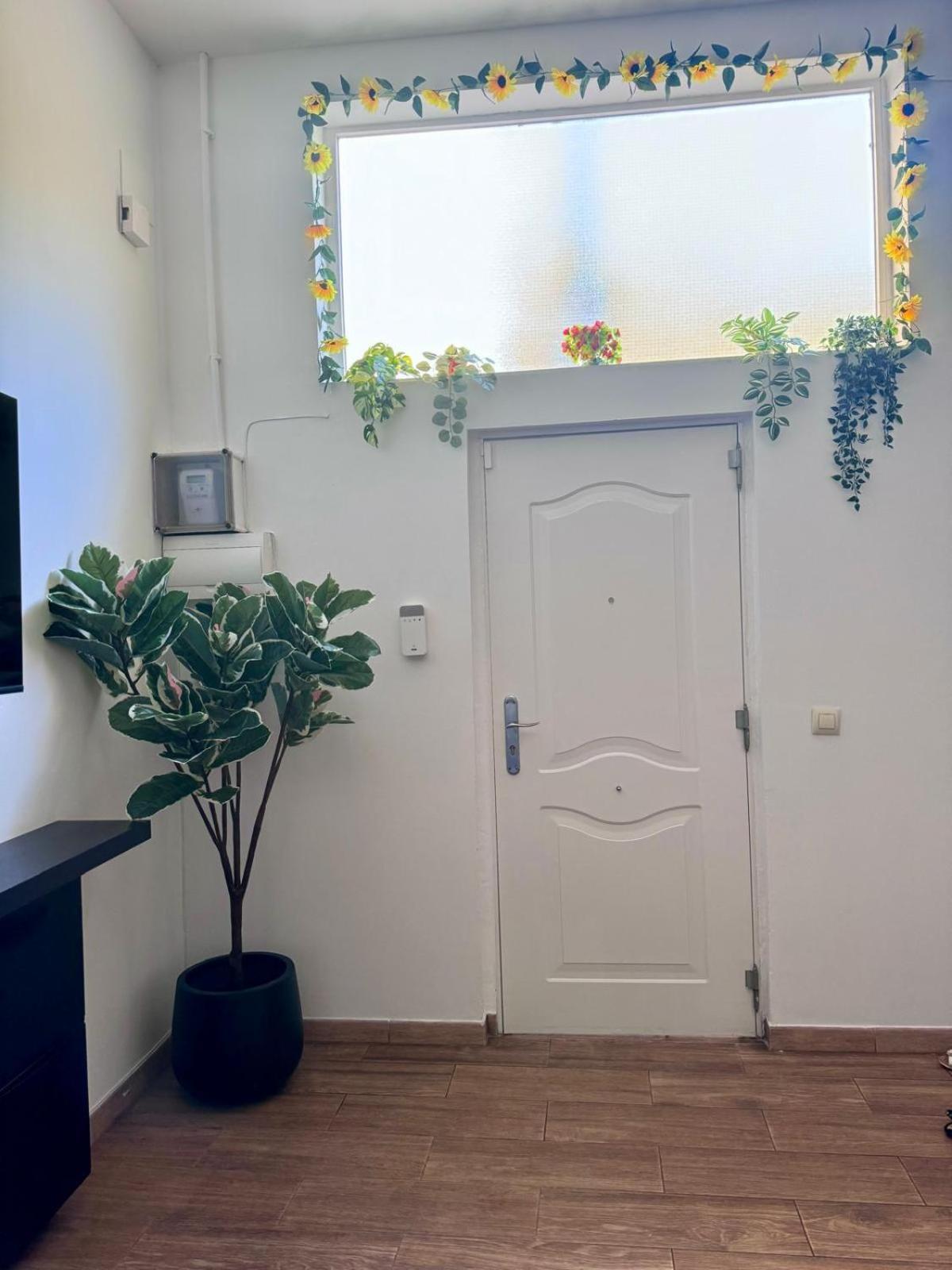 Pamis Apartament Sants, برشلونة المظهر الخارجي الصورة